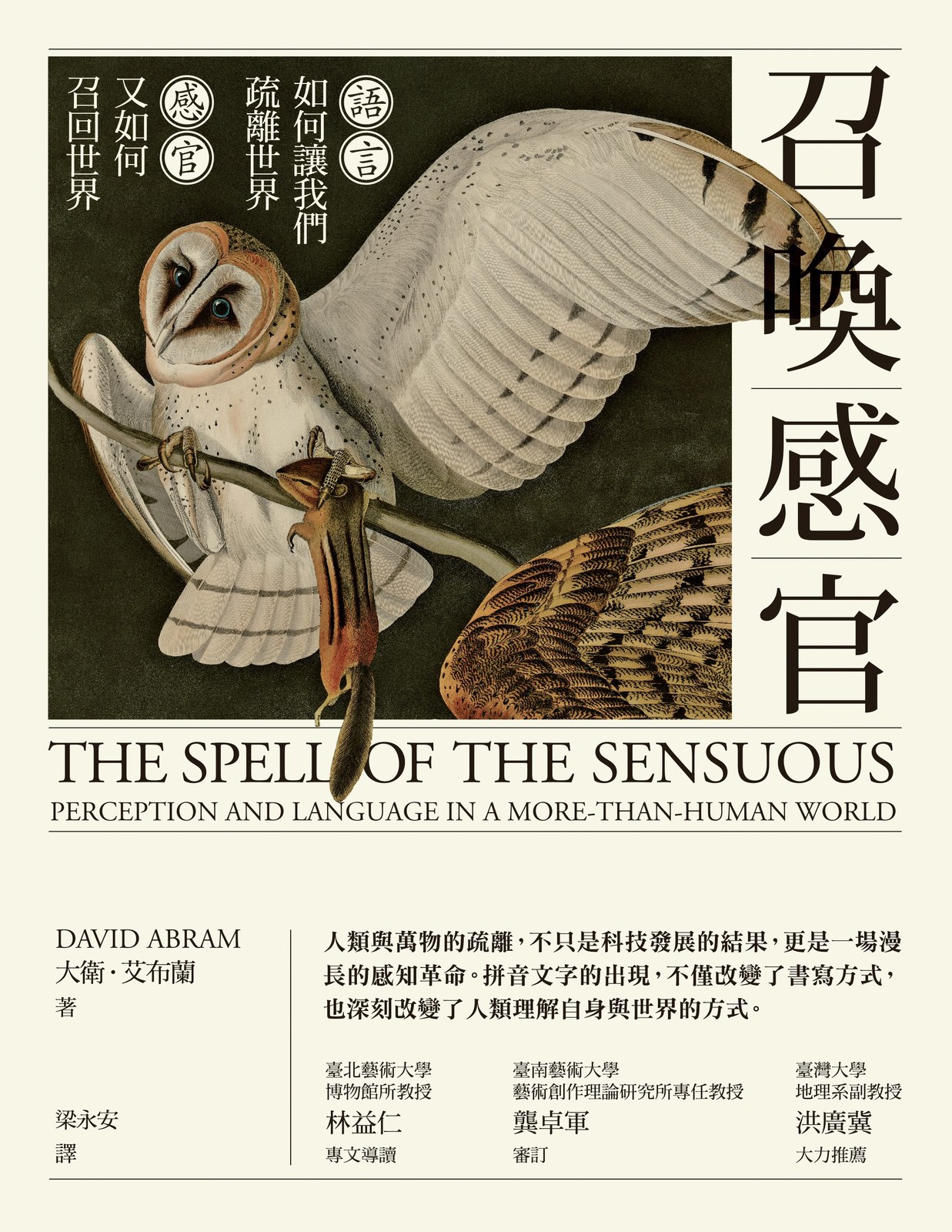 召喚感官