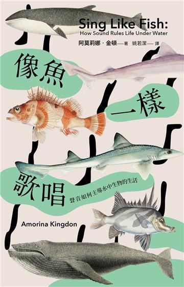 像魚一樣歌唱