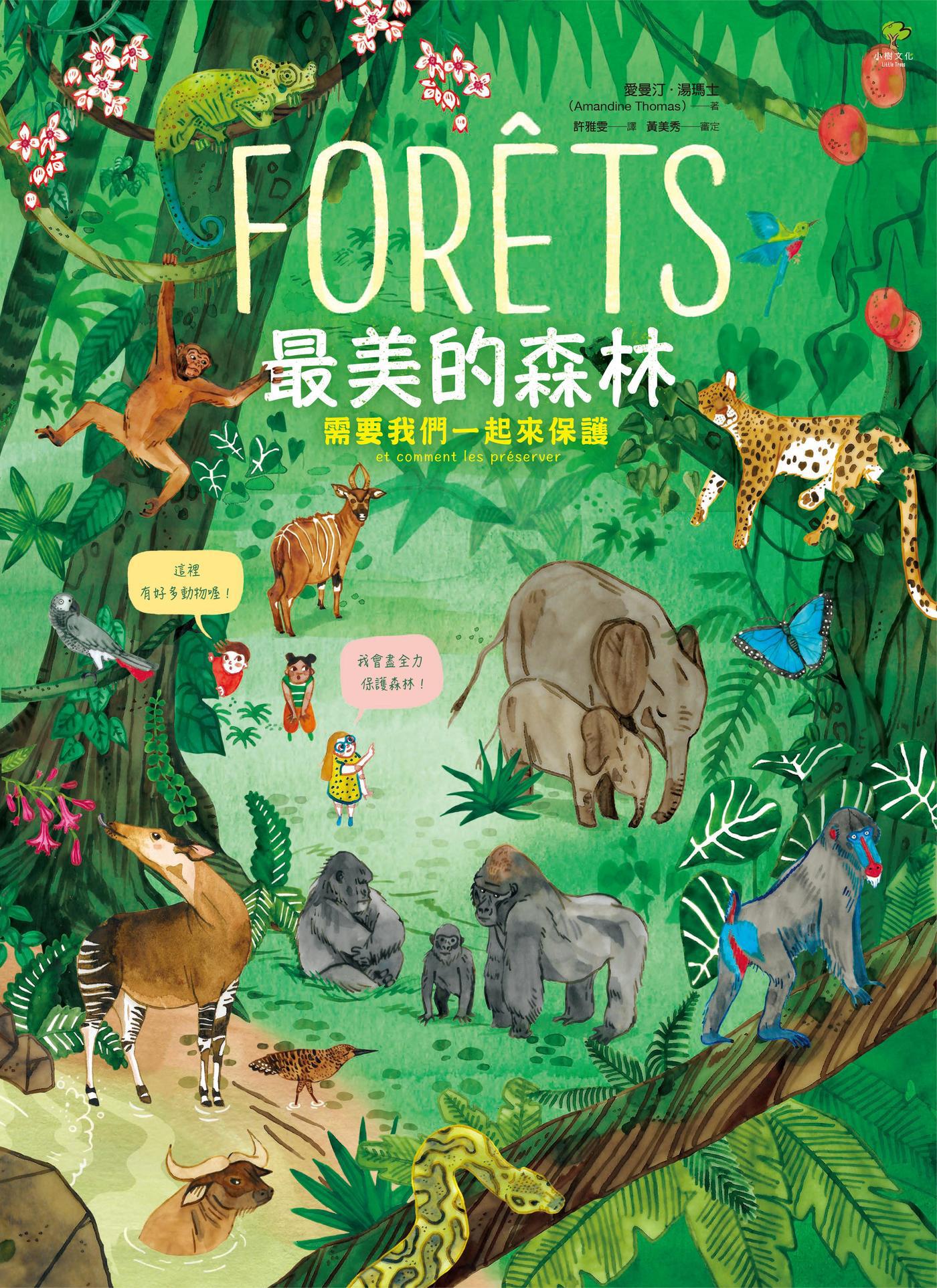 最美的森林...｛需要我們一起來保護｝