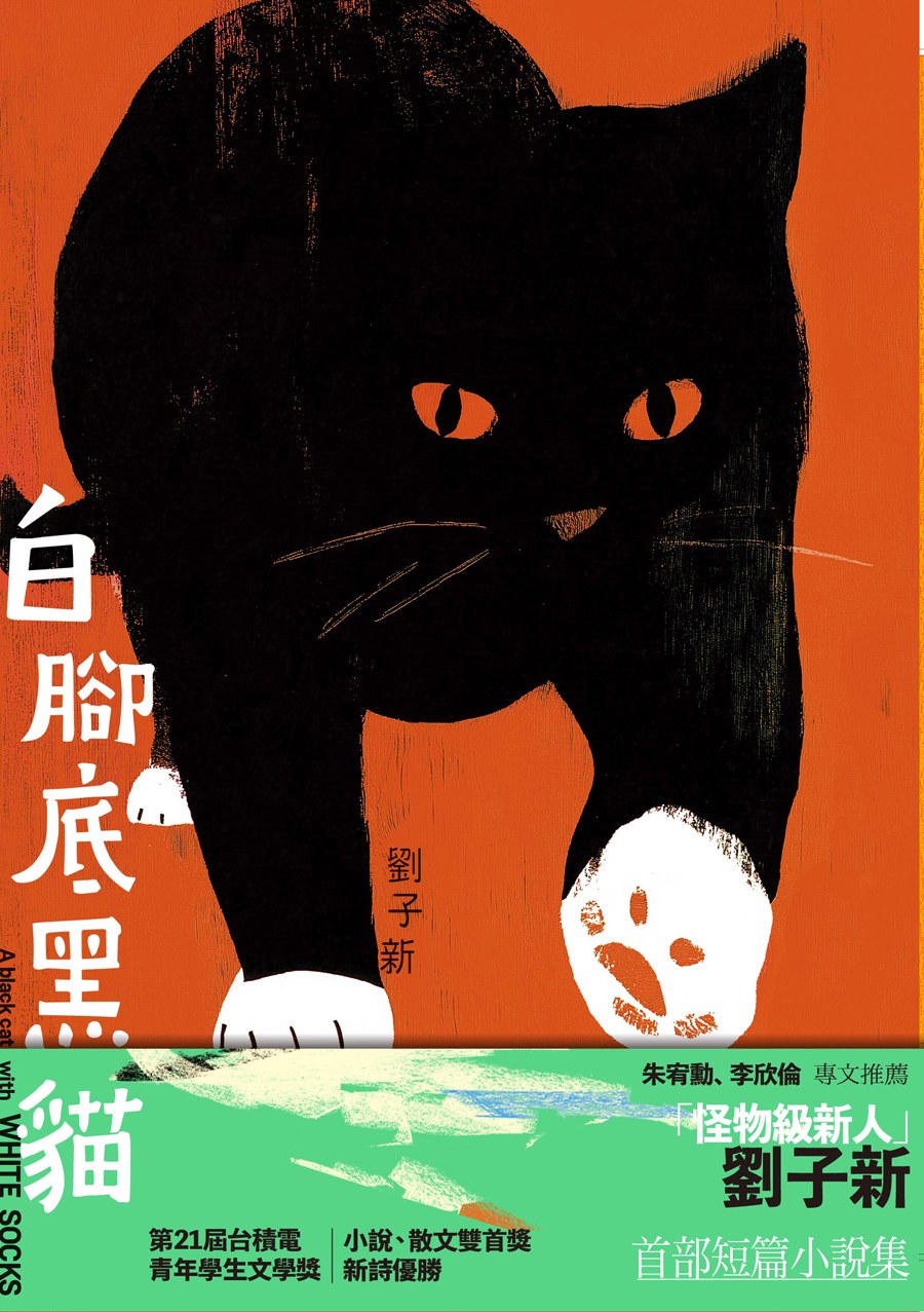 白腳底黑貓
