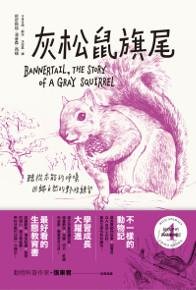 灰松鼠旗尾